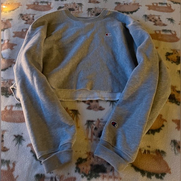 Women’s Champion Size Large Crewneck - Picture 1 of 1